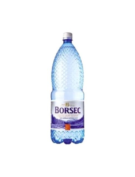 Apa plata 2L Borsec